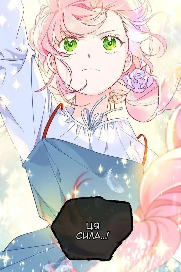 Сторінка 5