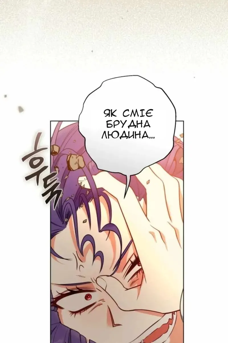 Сторінка 41
