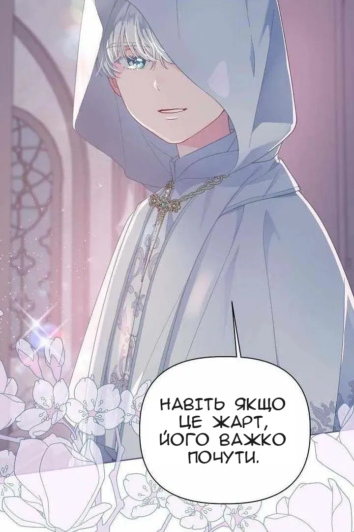 Сторінка 17