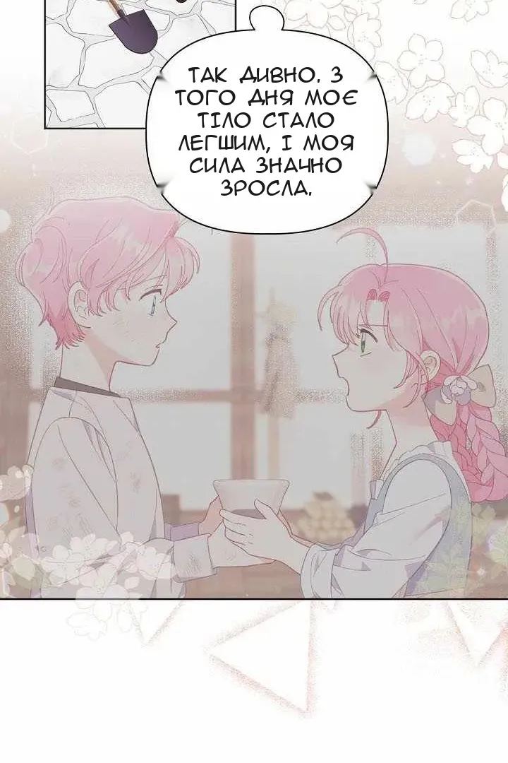 Сторінка 19