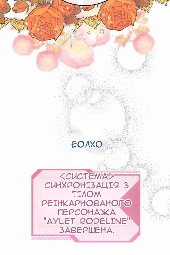 Сторінка 17