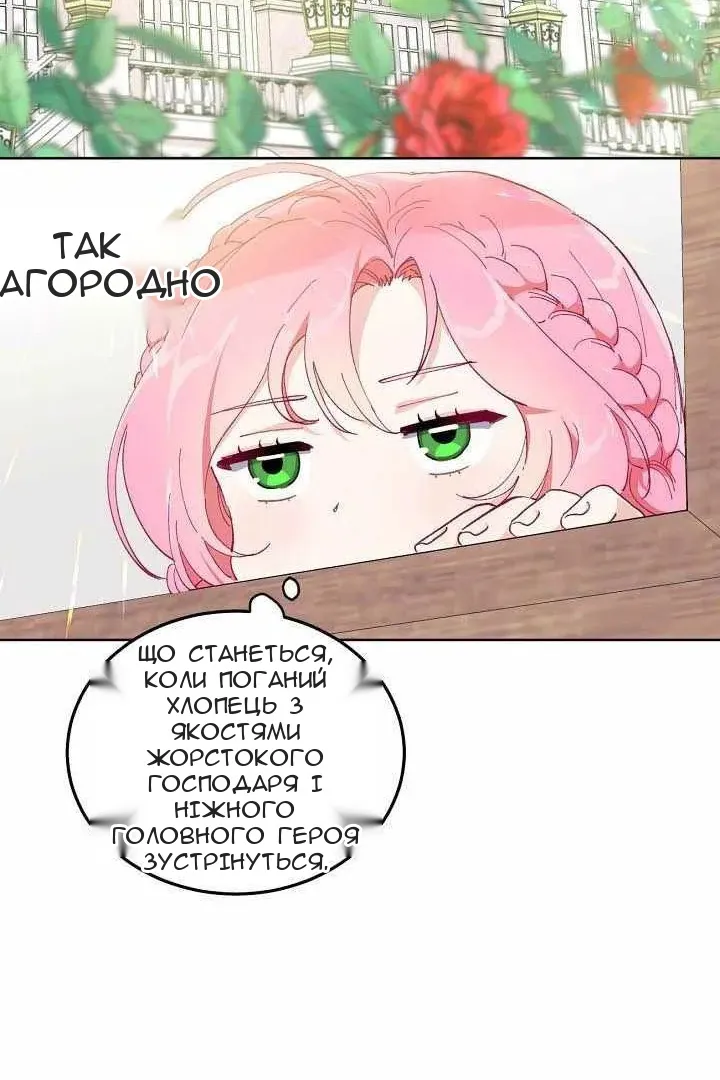 Сторінка 39