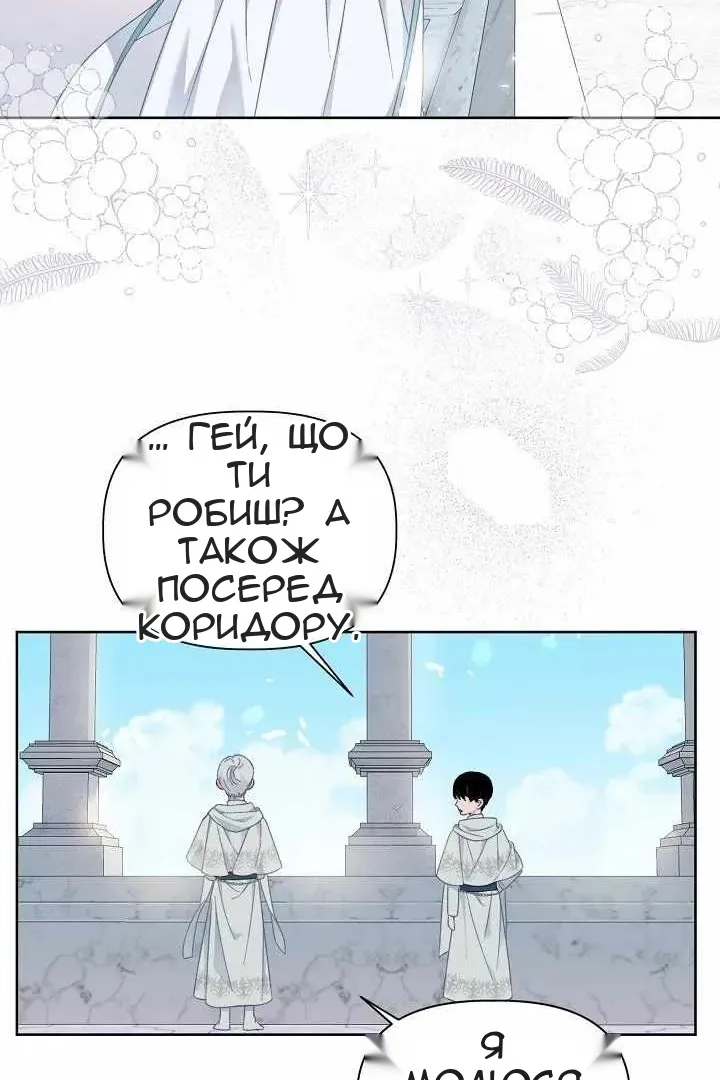 Сторінка 43