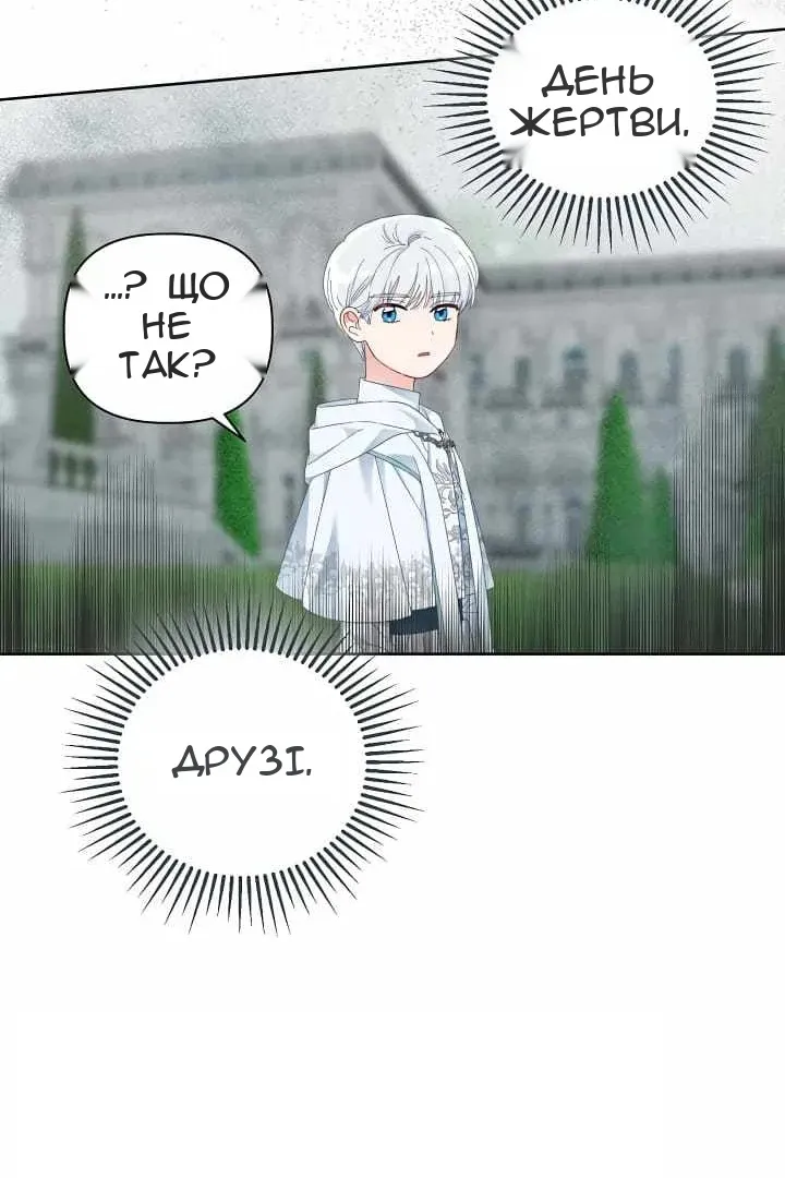 Сторінка 41