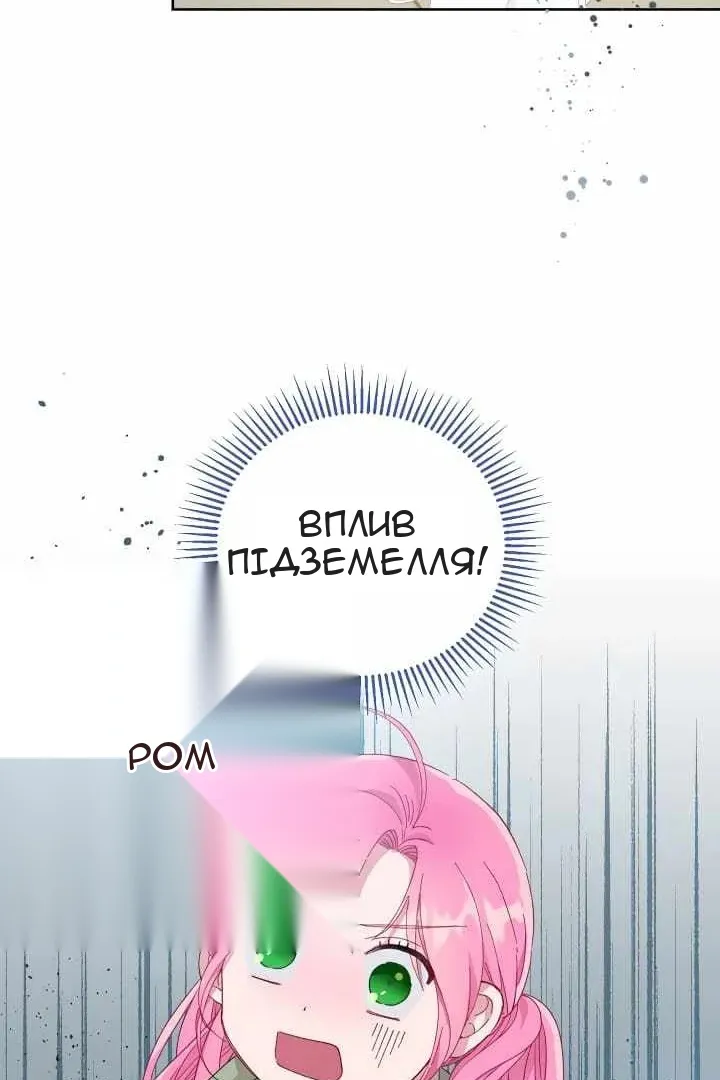 Сторінка 43