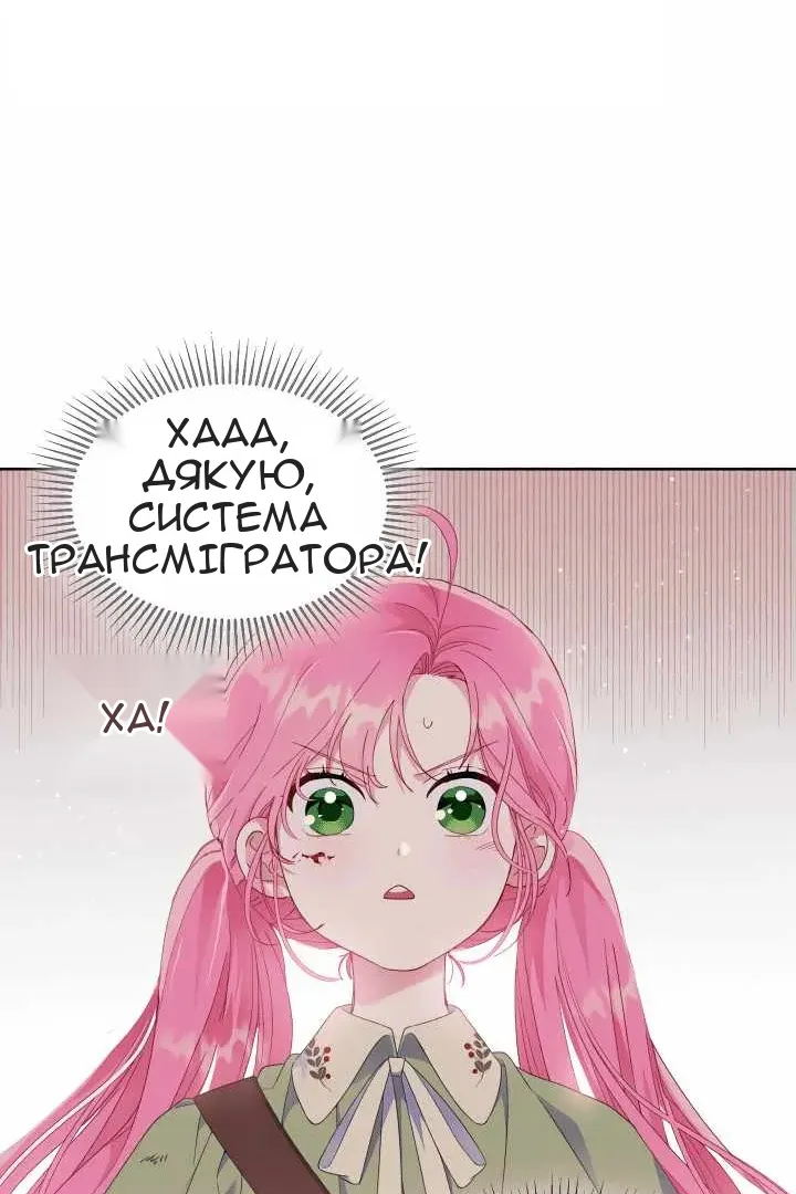 Сторінка 43