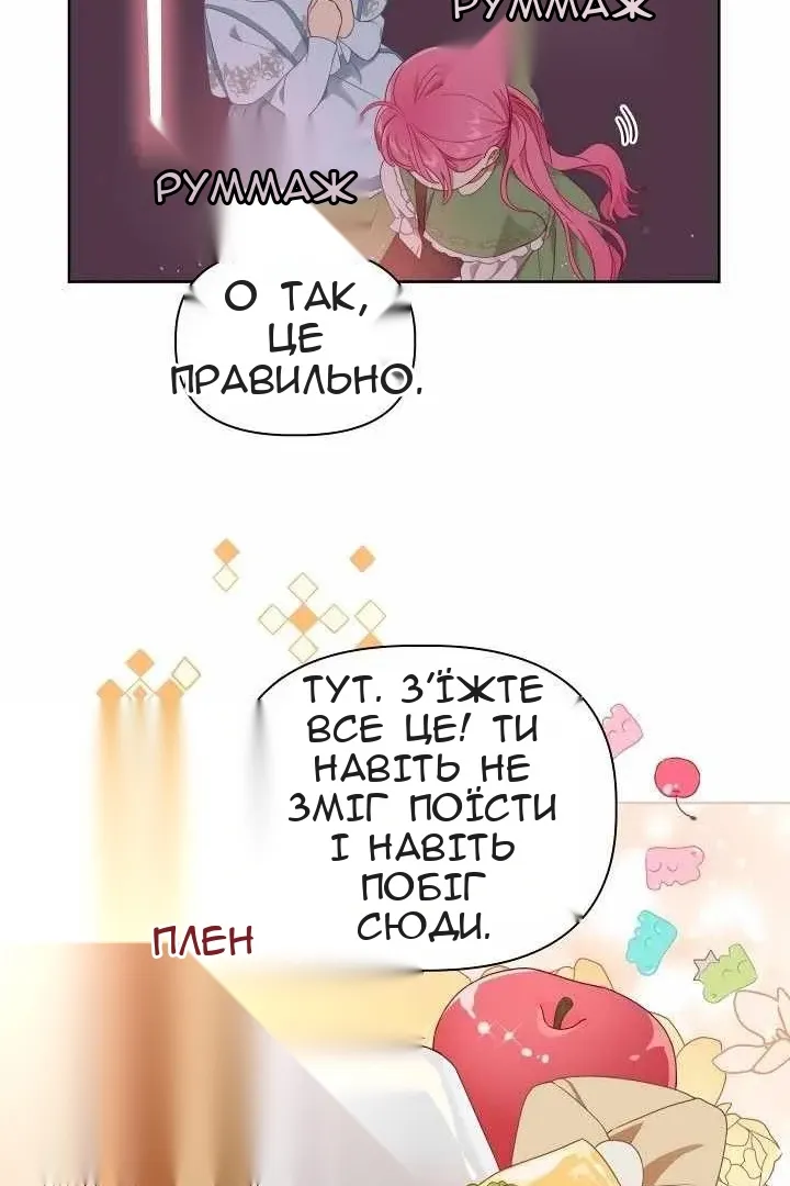 Сторінка 25
