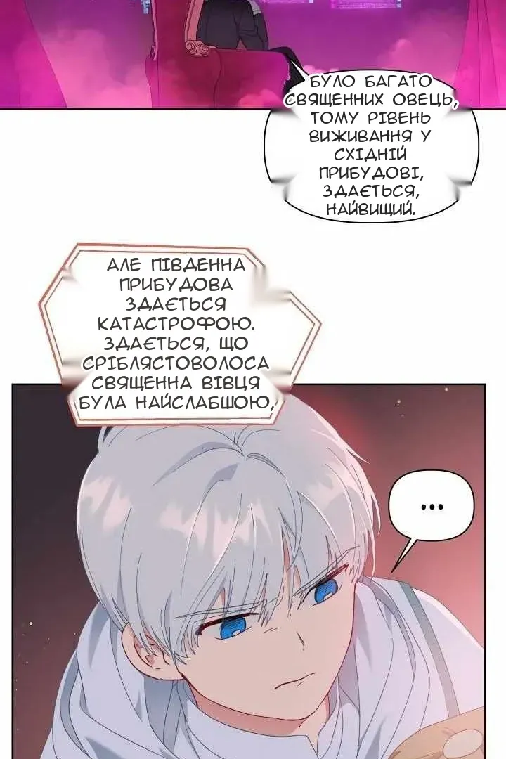 Сторінка 41