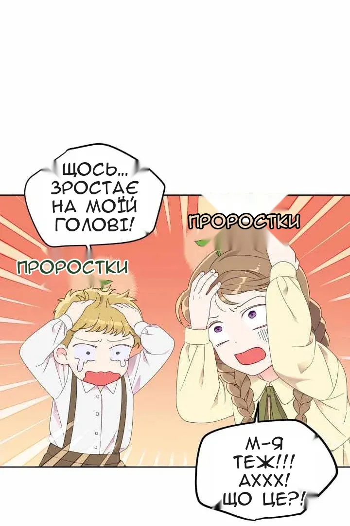 Сторінка 49