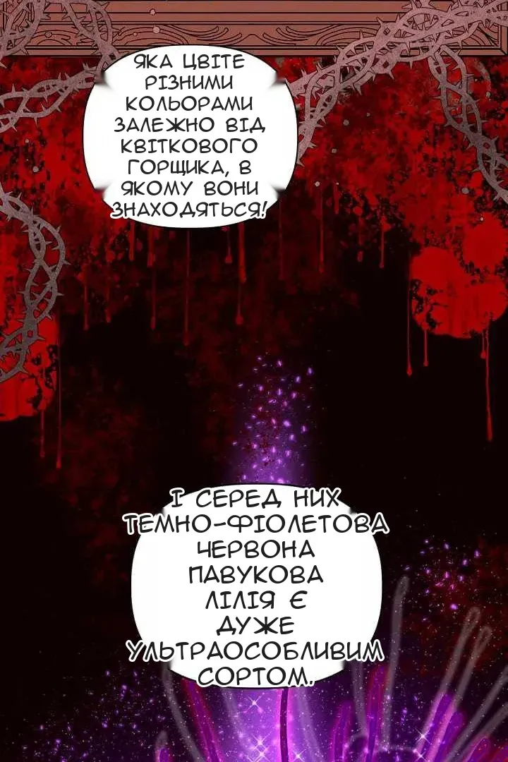 Сторінка 54