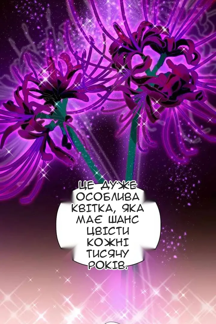 Сторінка 55
