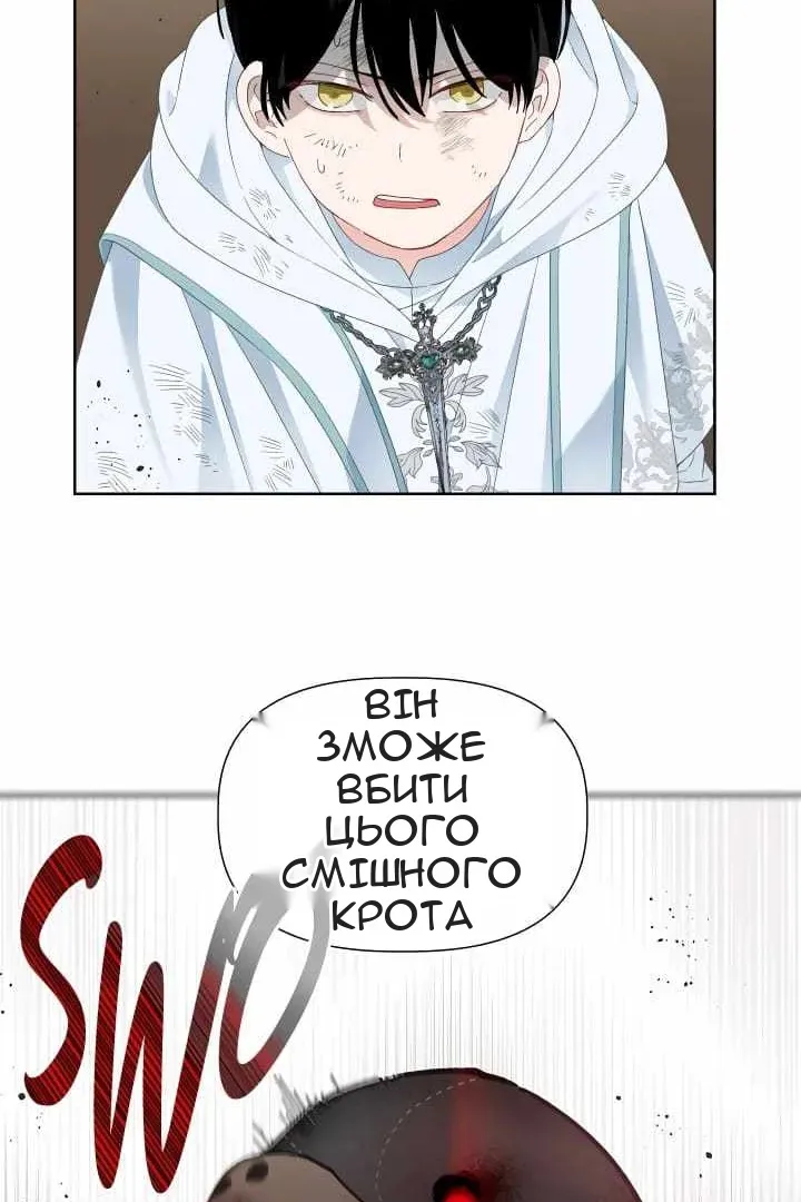 Сторінка 11