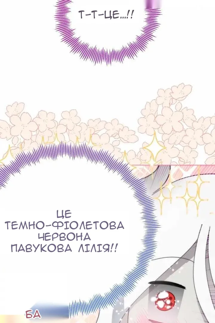 Сторінка 26