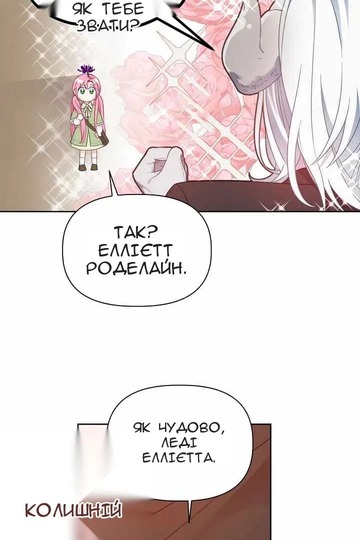 Сторінка 29