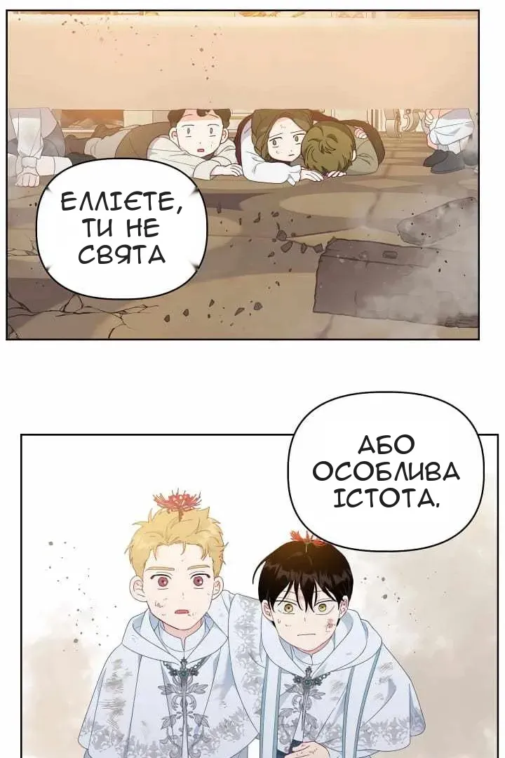Сторінка 49