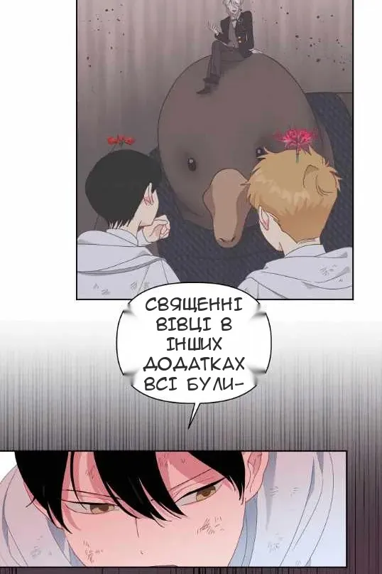 Сторінка 13