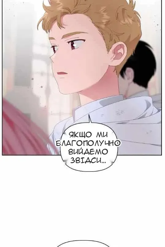 Сторінка 41