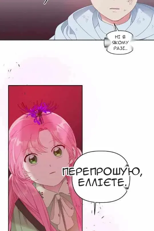 Сторінка 17