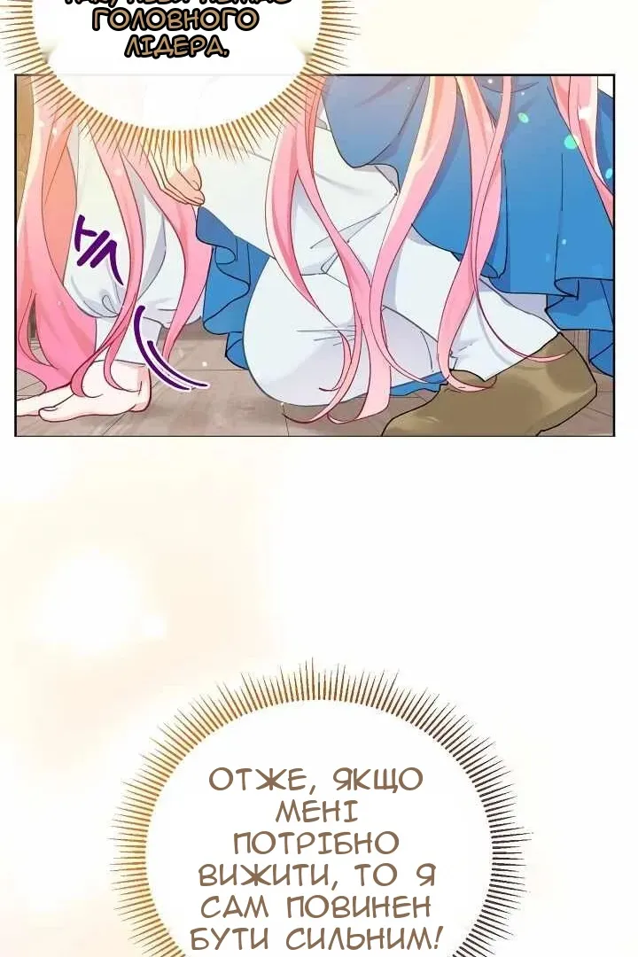 Сторінка 41