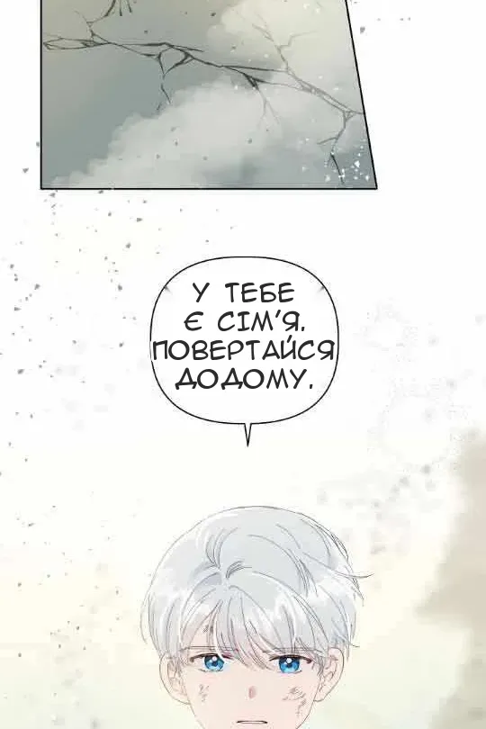 Сторінка 43
