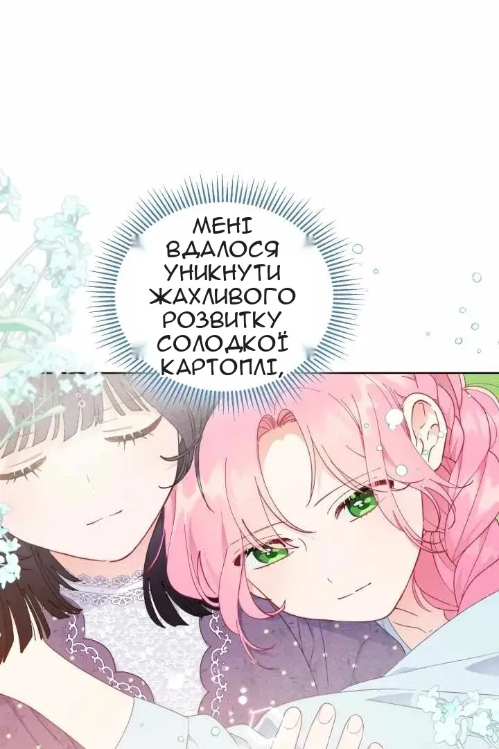 Сторінка 13