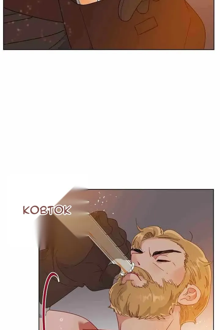 Сторінка 16