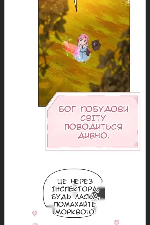 Сторінка 41
