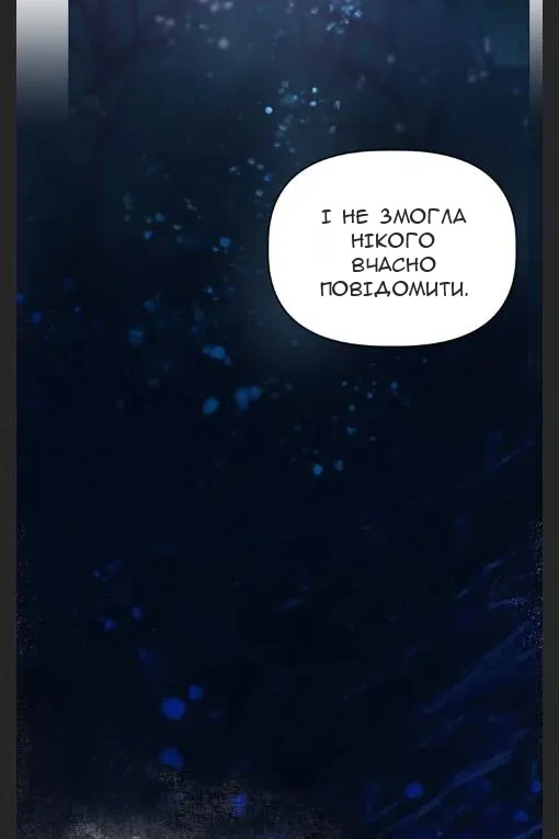 Сторінка 63