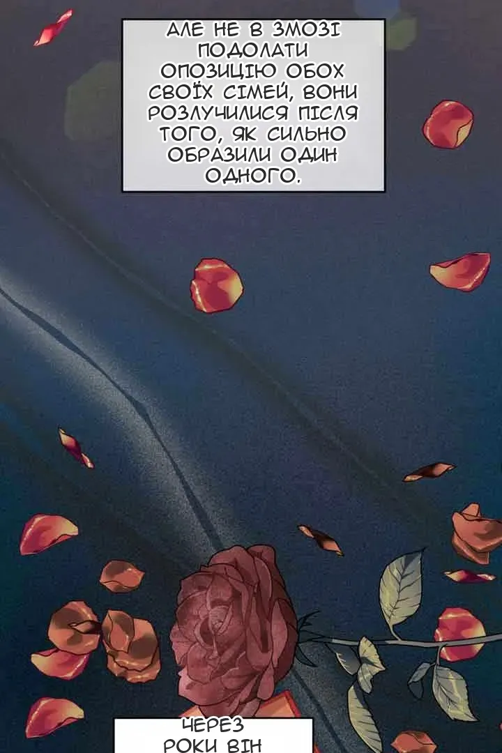 Сторінка 15