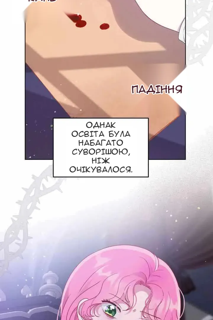 Сторінка 29