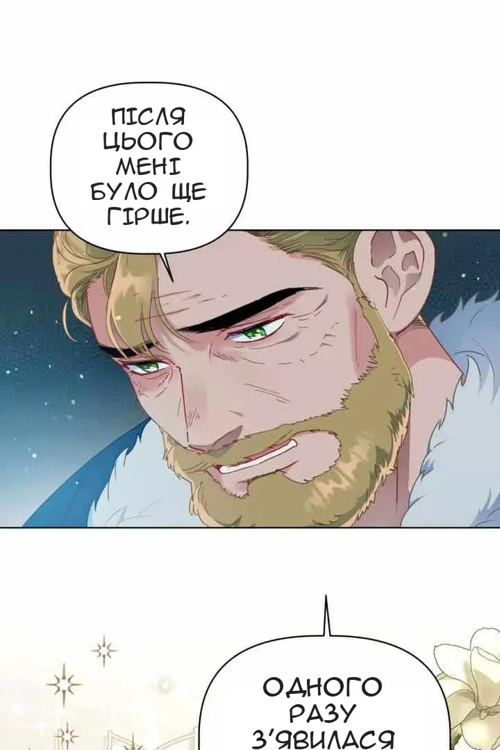Сторінка 41
