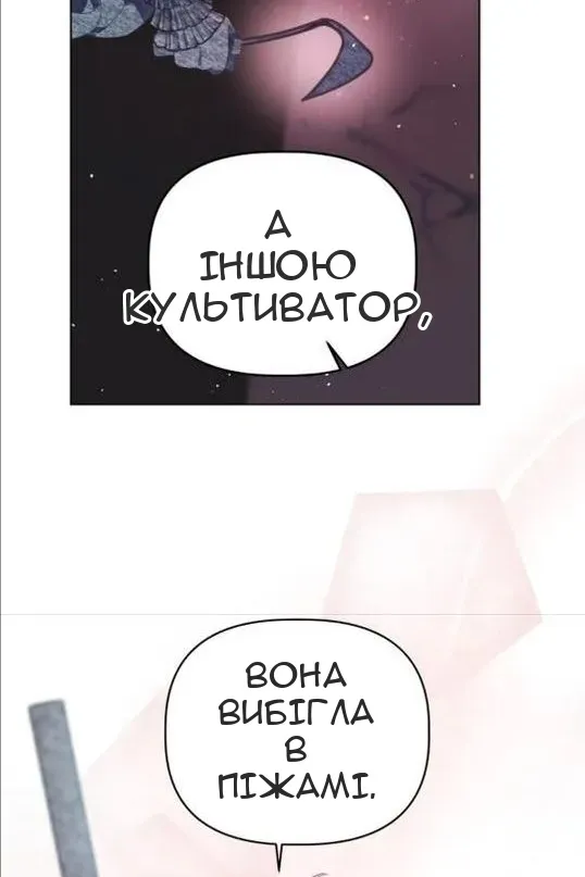 Сторінка 4