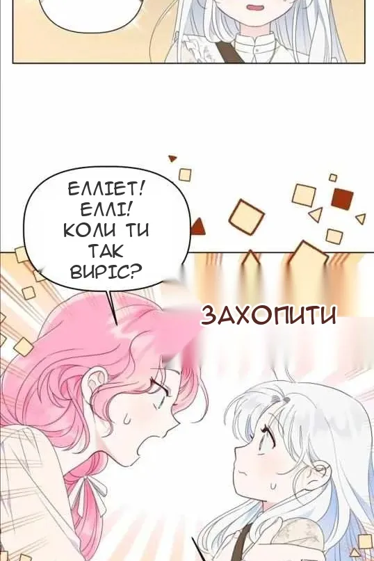 Сторінка 47