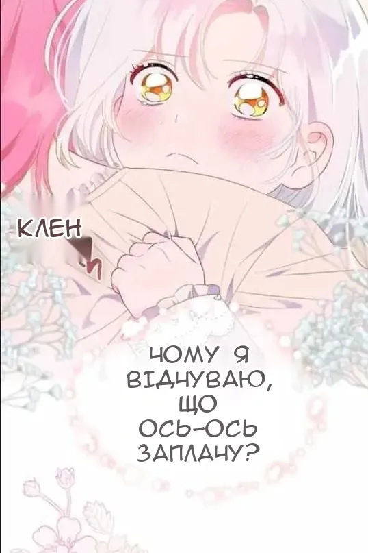 Сторінка 61
