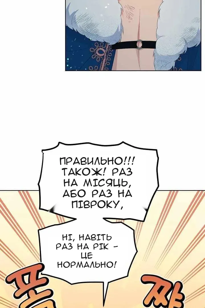 Сторінка 41