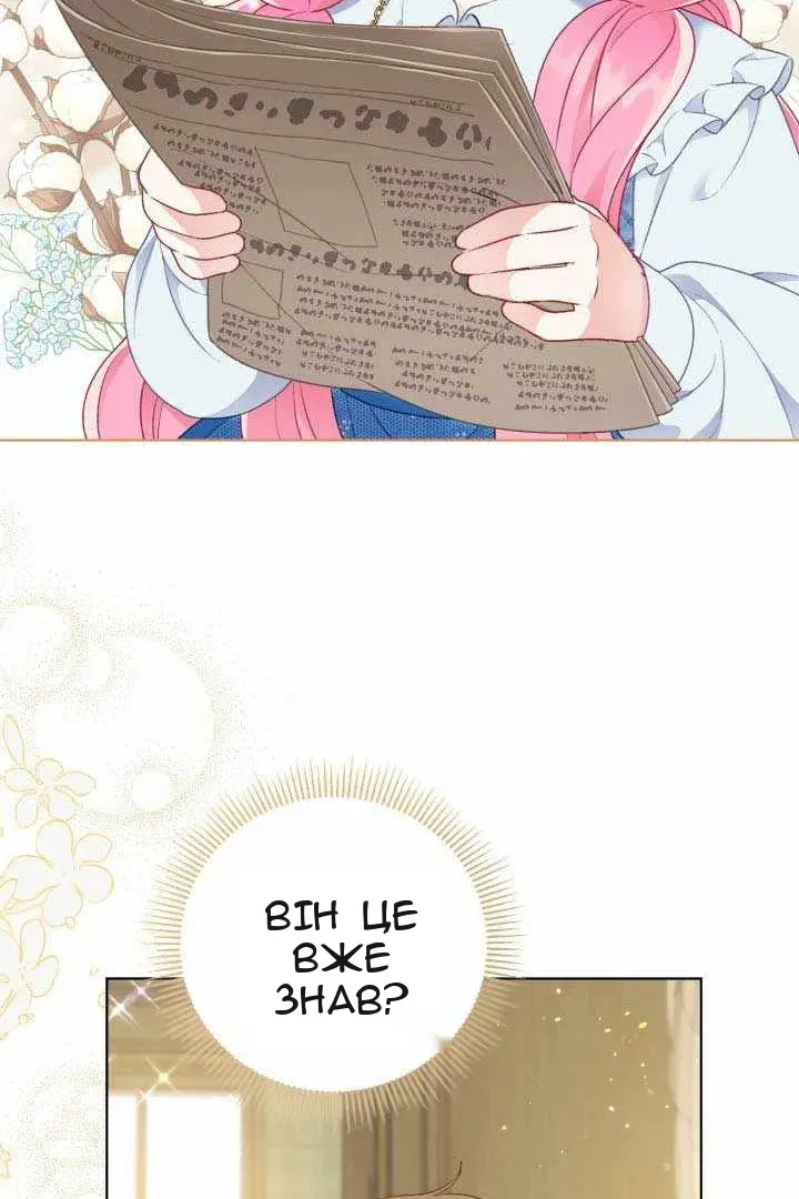 Сторінка 17