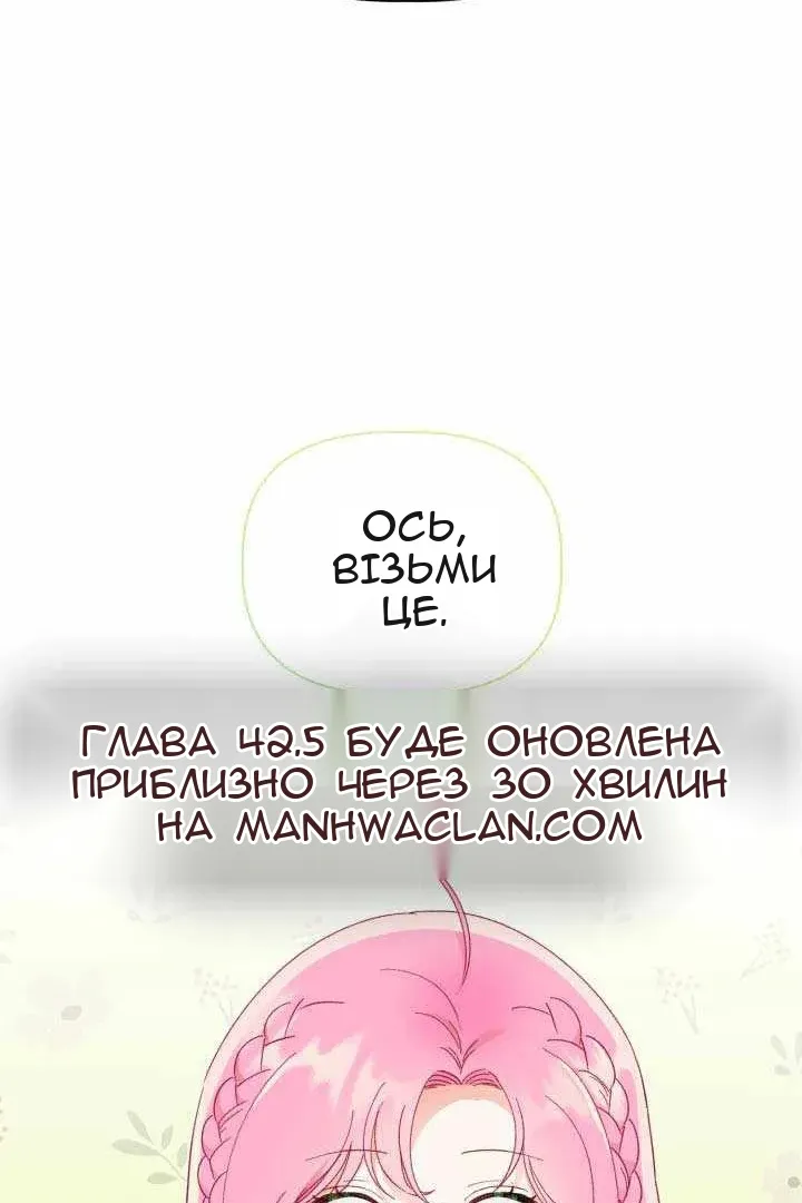 Сторінка 41