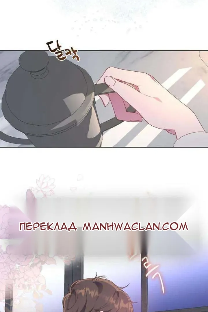 Сторінка 5