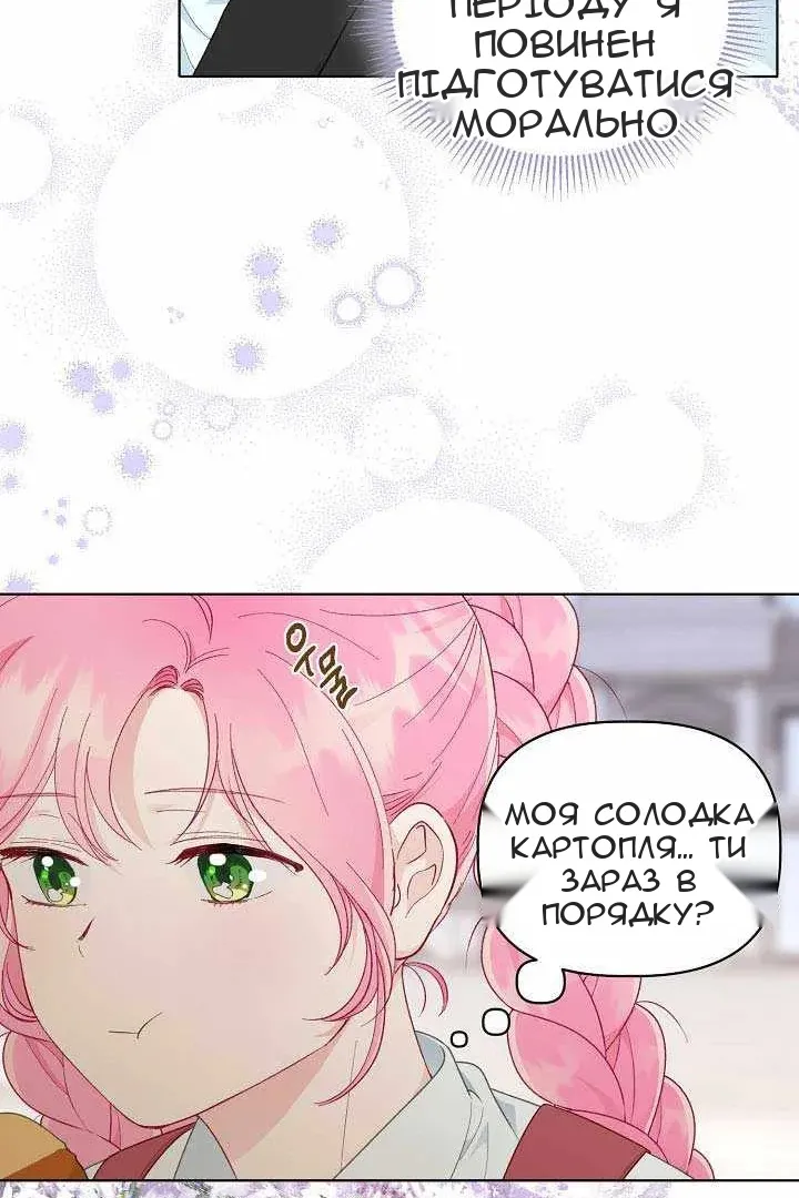 Сторінка 47