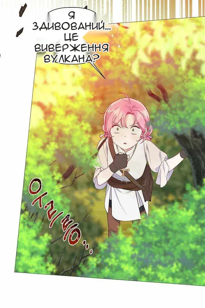 Сторінка 74