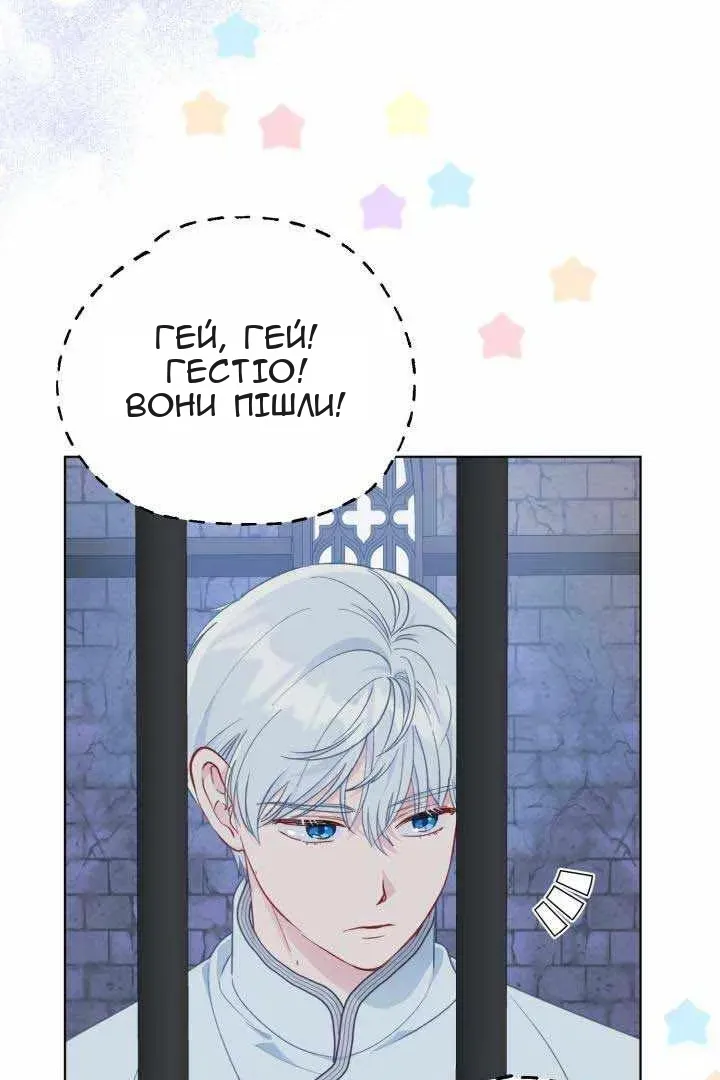 Сторінка 5