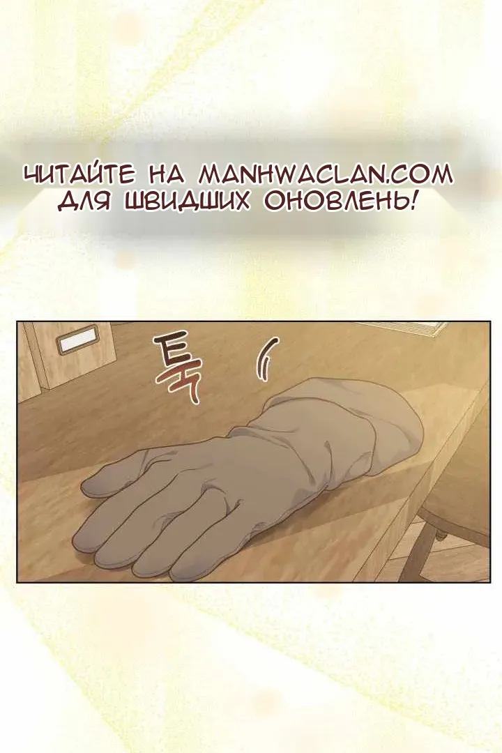 Сторінка 29