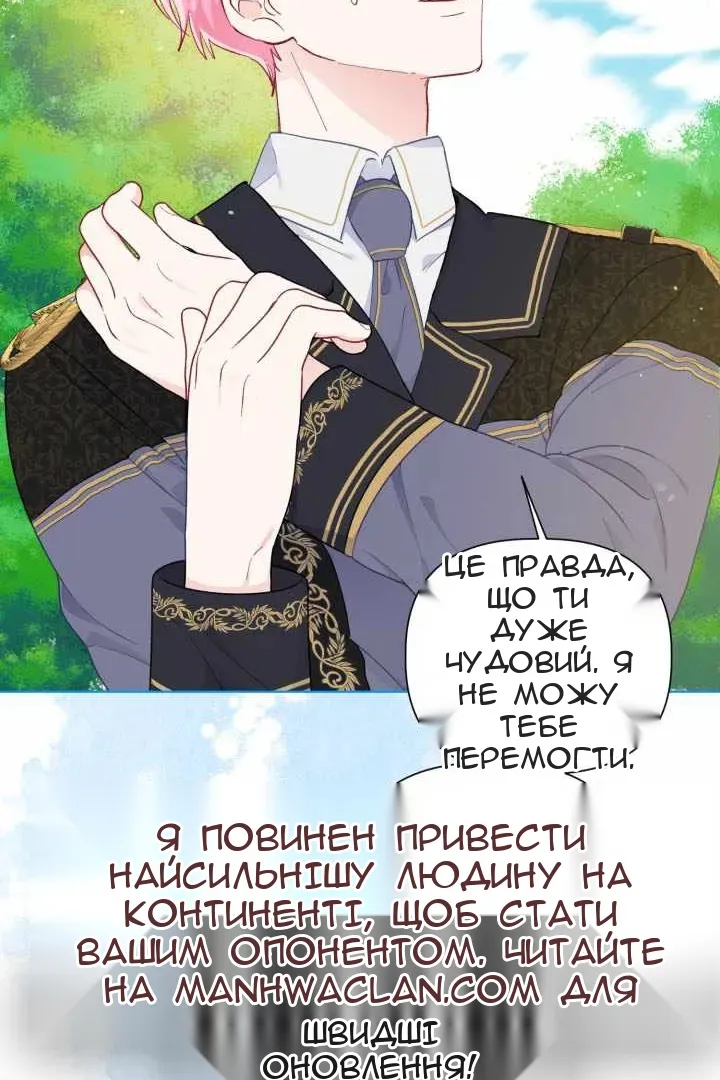 Сторінка 41