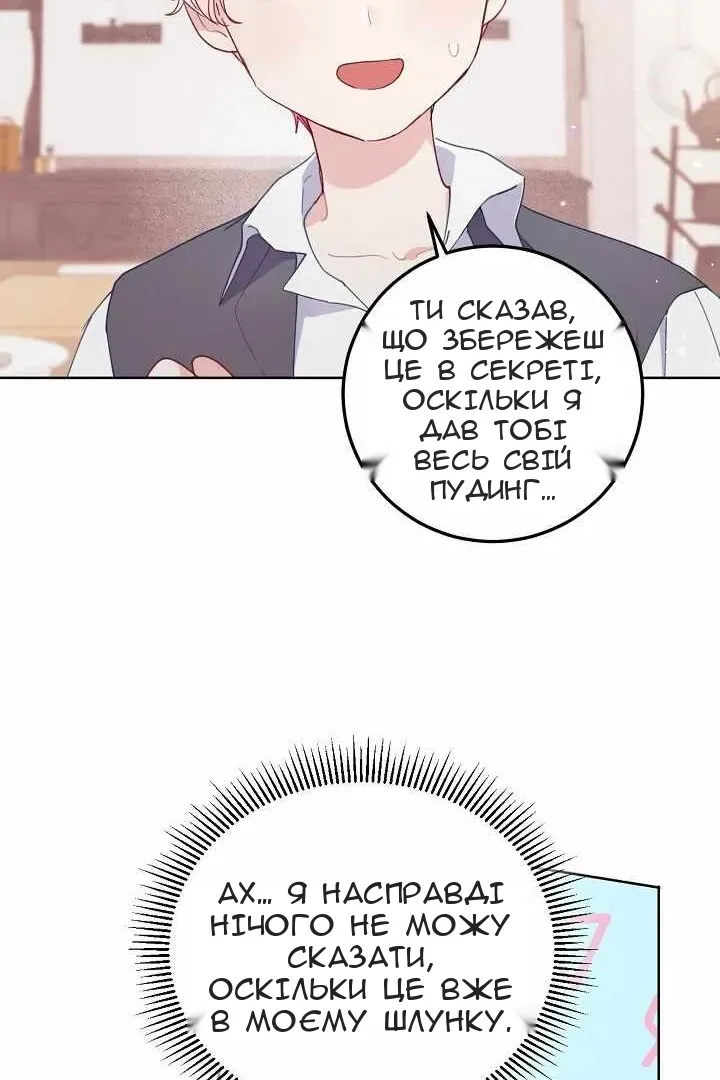 Сторінка 17