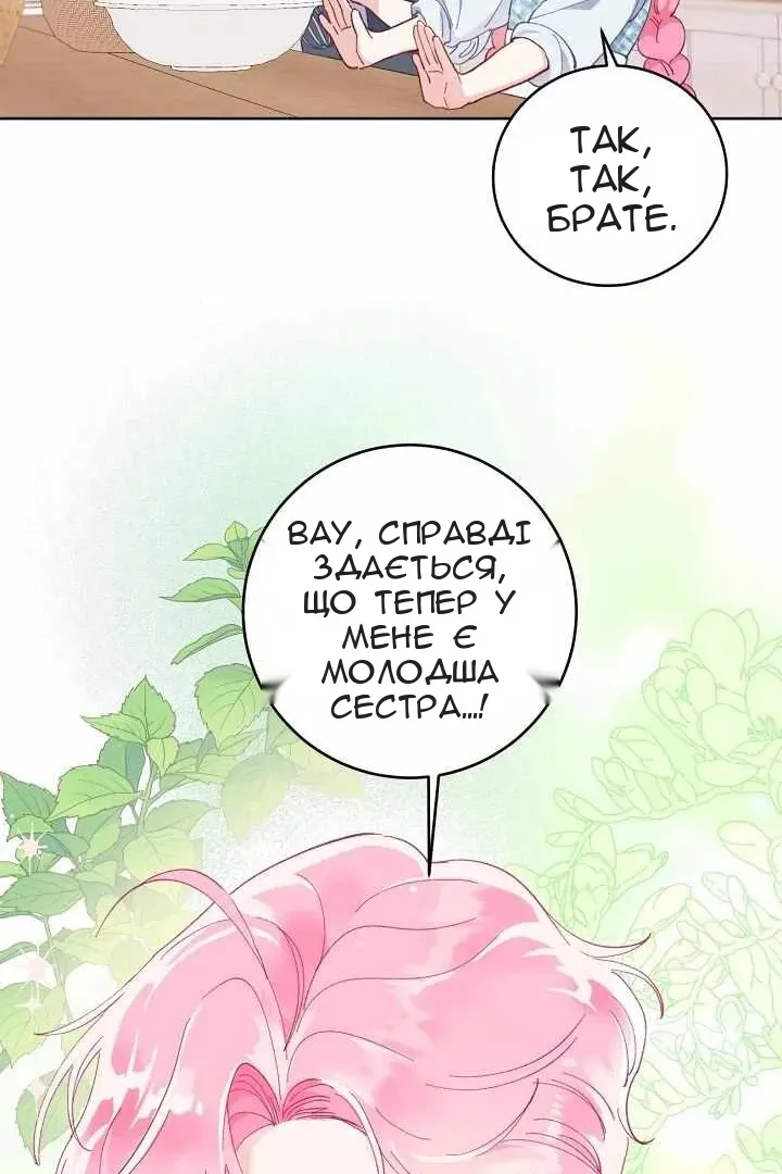 Сторінка 27