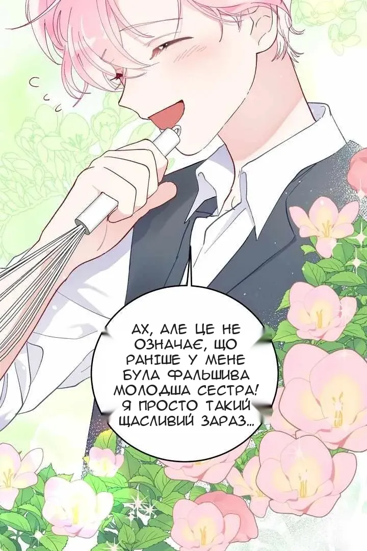 Сторінка 28