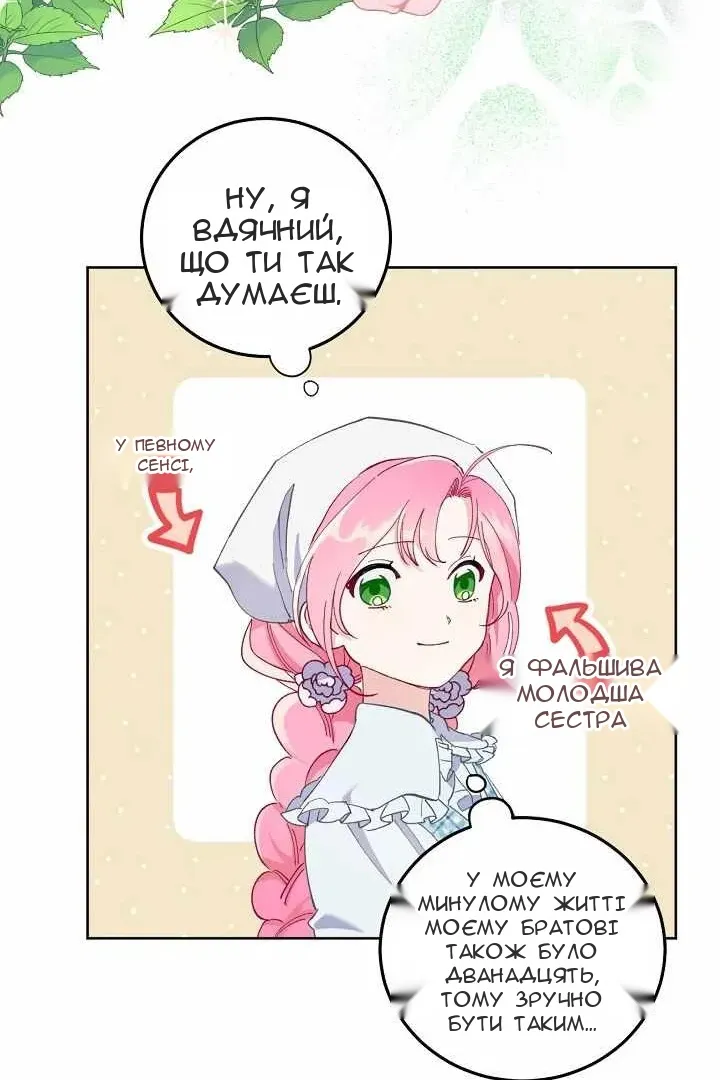 Сторінка 29