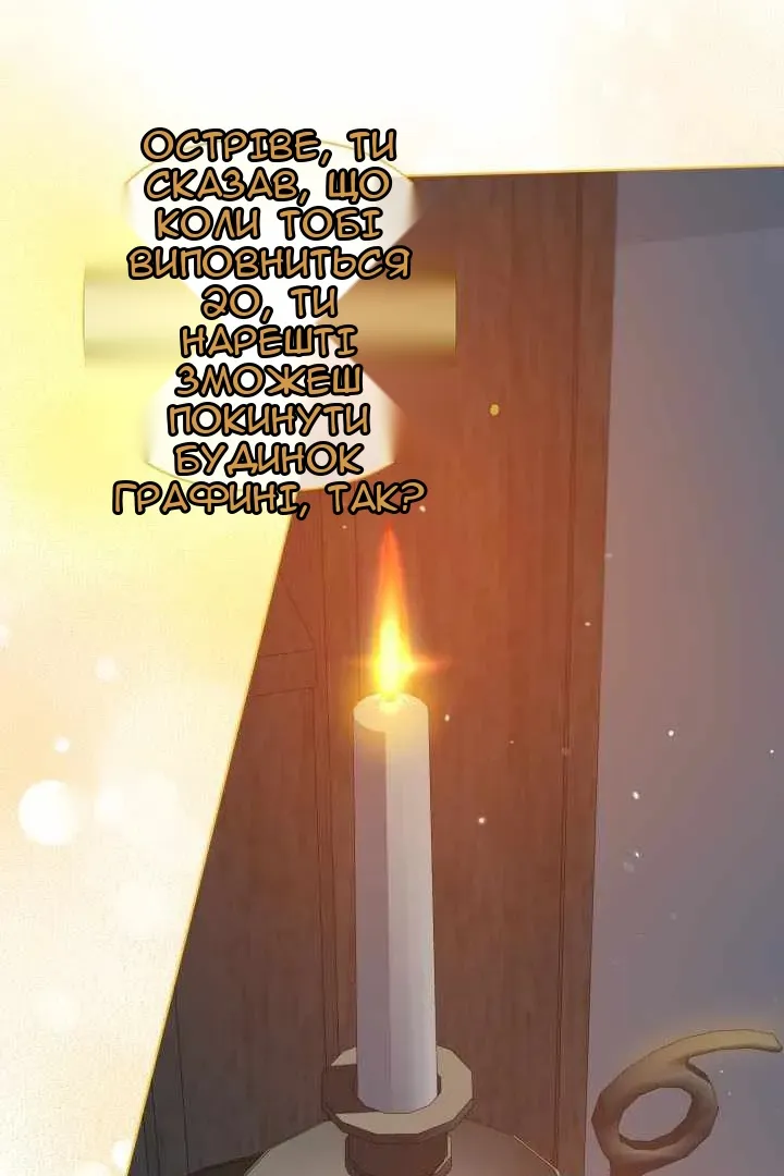 Сторінка 31