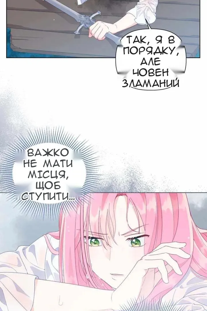 Сторінка 45