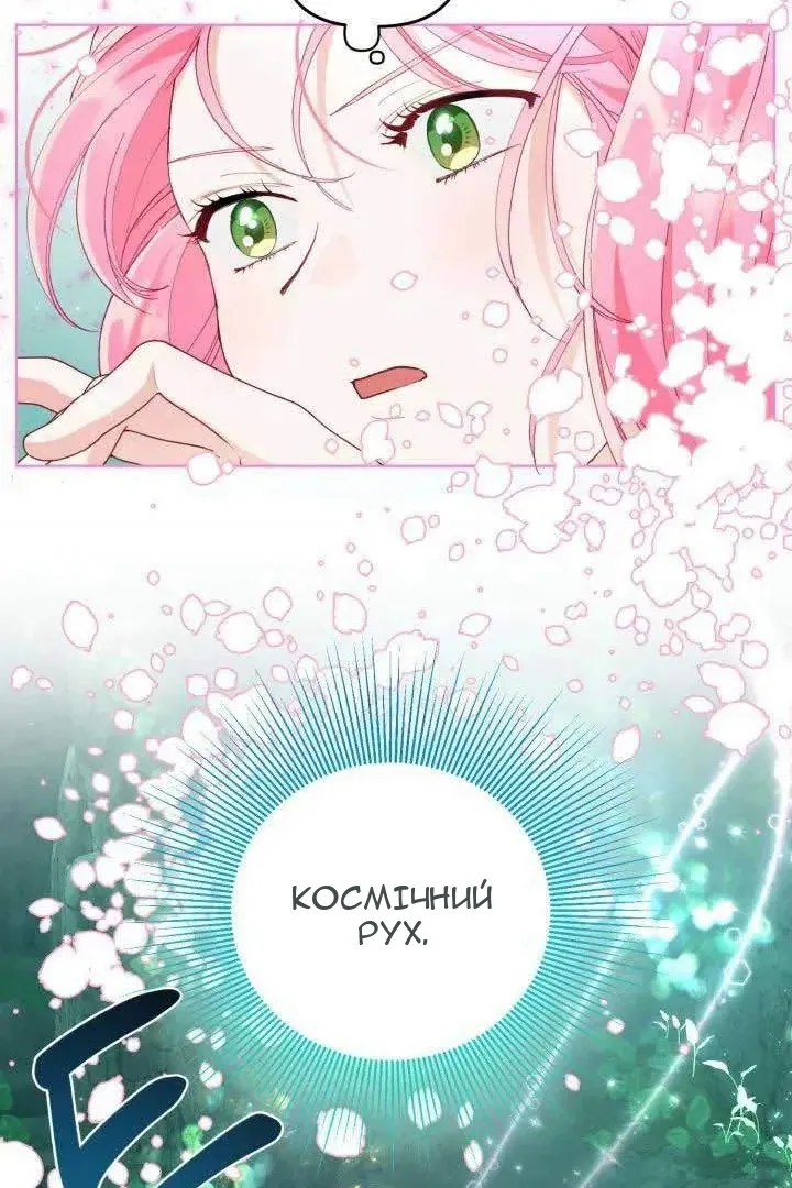 Сторінка 5